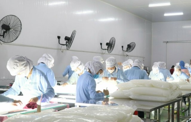Công nhân nhà máy Vinacoco đang kiểm tra sản phẩm thạch dừa để đóng gói xuất khẩu.
