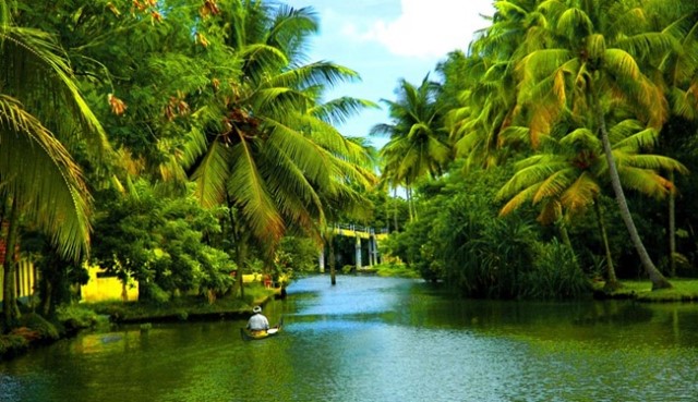 Ý nghĩa của Dừa trong Văn hóa & Ẩm thực Ấn Độ