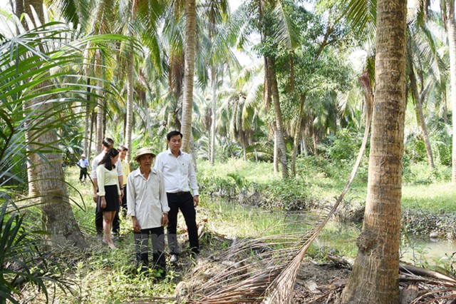 Các sản phẩm từ dừa đạt mức tăng khá
