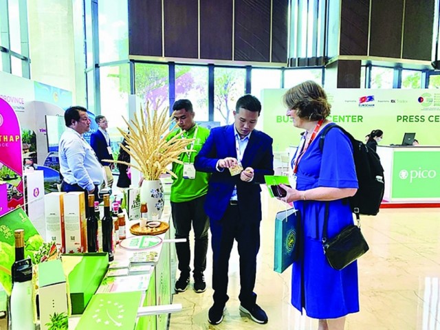 Xuất khẩu dừa vươn xa nhờ chế biến sâu