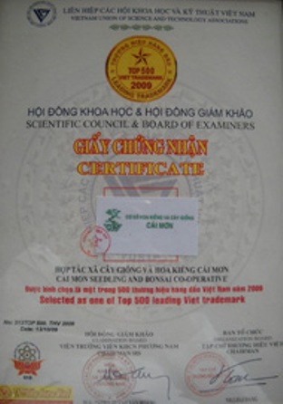Hợp tác xã Cây giống và Hoa kiểng Cái Mơn