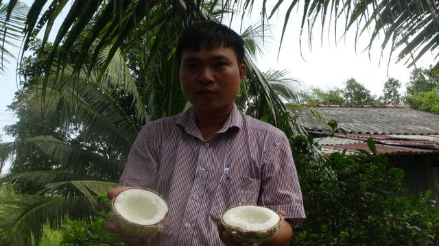  Dừa sáp vượt lãnh địa Cầu Kè