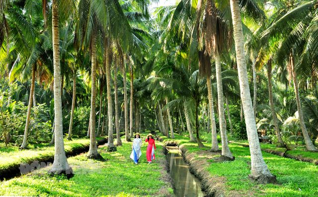 Khai thác chất liệu sáng tác từ văn hóa Bến Tre