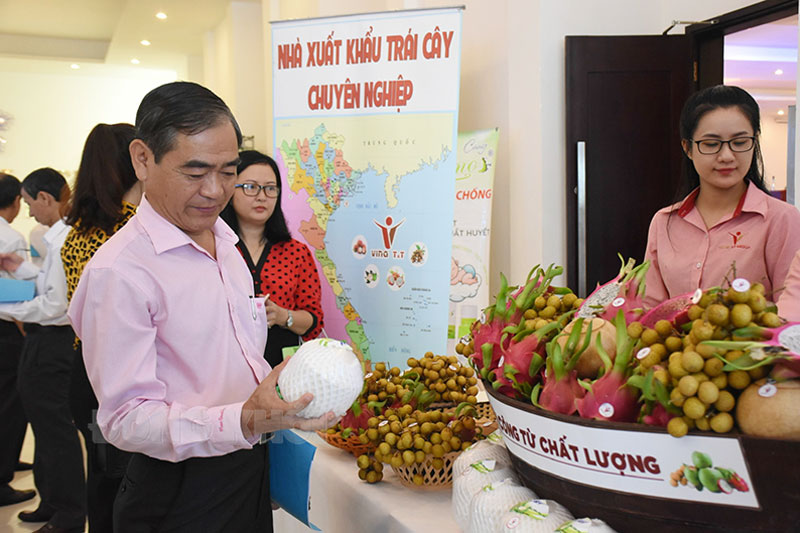Dừa xiêm Bến Tre phục vụ tại các cảng bay VietJet