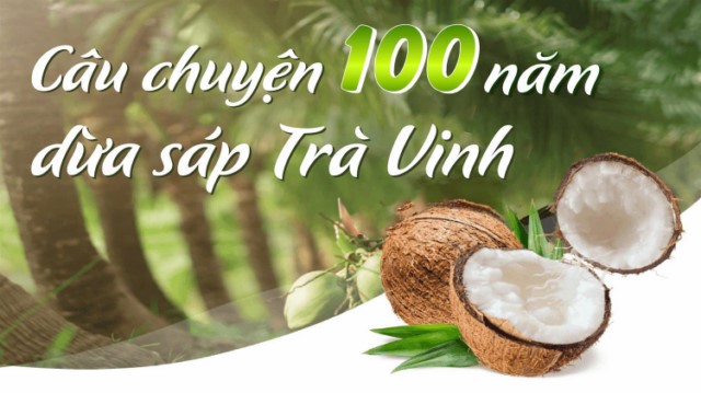 Câu chuyện 100 năm của dừa sáp Trà Vinh
