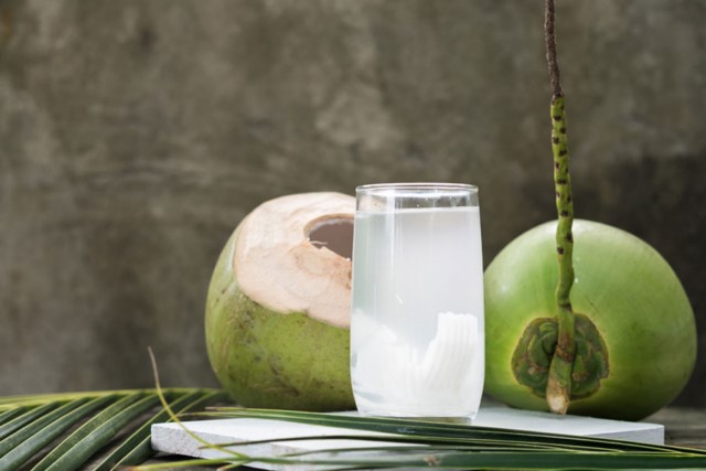 Tiềm năng thị trường Châu Âu cho dừa tươi
