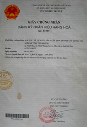Hợp tác xã Cây giống và Hoa kiểng Cái Mơn