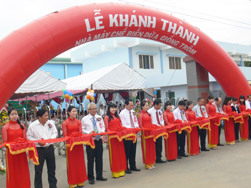 Cây dừa và triển vọng phát triển các sản phẩm từ dừa ở Bến Tre
