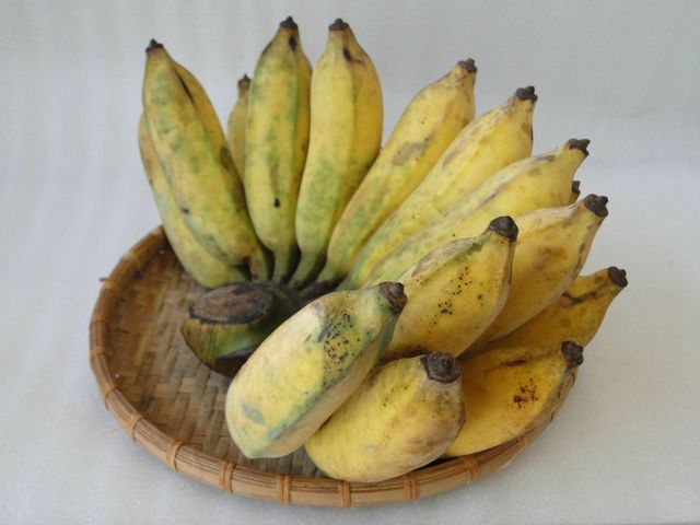 Các loại bánh dân gian từ chuối ở Bến Tre