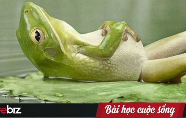 Câu chuyện con ếch và nồi nước sôi: Nếu cứ đứng yên một chỗ, không sớm thì muộn bạn sẽ bị đào thải