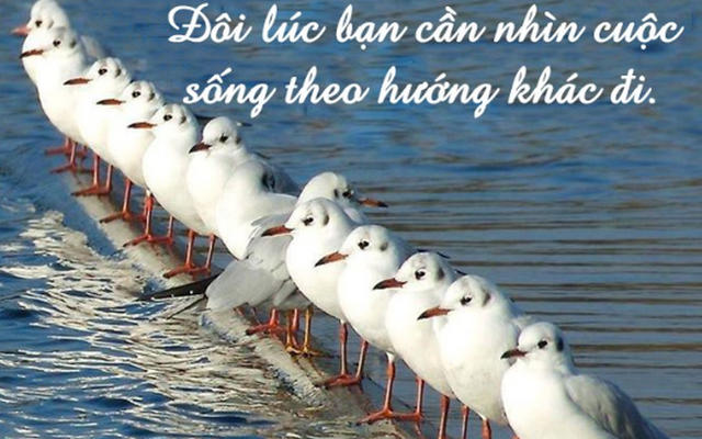 Bạn là người “Đào giếng” hay “Gánh nước”? - Điều quan trọng không phải là vị trí đứng mà là hướng đi