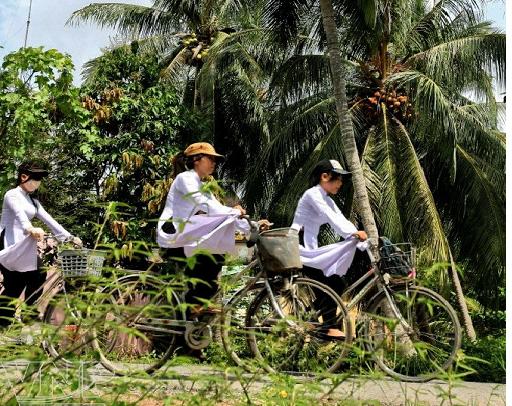 Những người con xứ dừa