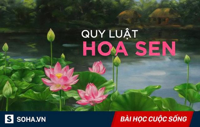 Quy luật hoa sen: Đọc và ngẫm, bất cứ ai cũng sẽ tìm thấy lợi ích cho chính mình!