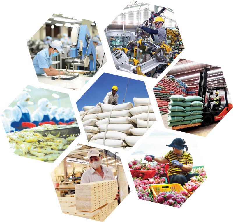 Định vị thương hiệu sản phẩm Việt trên thị trường xuất khẩu