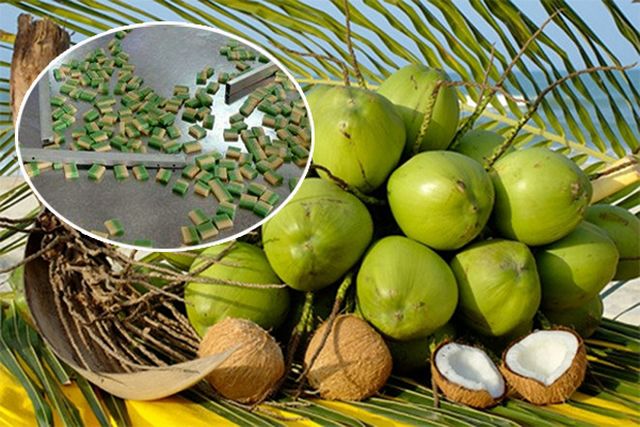 Tình hình tiêu thụ 08 sản phẩm nông nghiệp chủ lực và nhu cầu thị trường hiện nay
