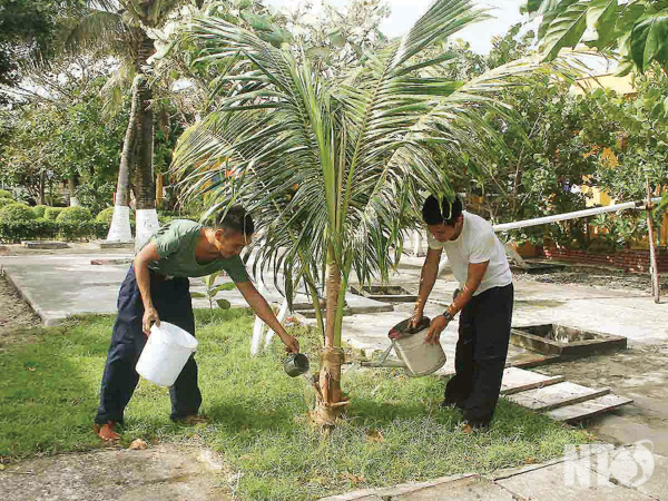 Nam Yết: Đảo dừa giữa biển khơi