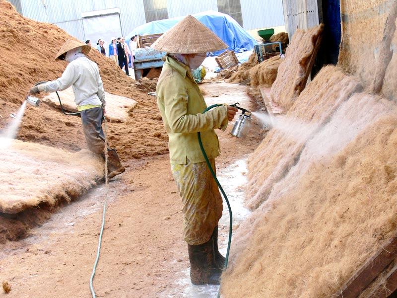 Bến Tre - Phát triển sản xuất giá thể và phân bón hữu cơ sinh học từ mụn xơ dừa