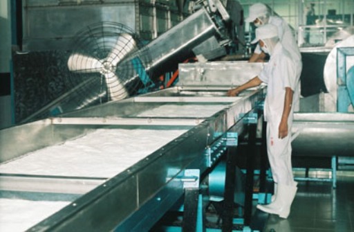 Quy hoạch phát triển công nghiệp tỉnh Bến Tre đến năm 2020