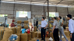 Khuyến công quốc gia: Góp sức cùng ngành dừa của Bến Tre phát triển bền vững
