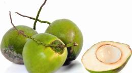 Ngưỡng thiệt hại của dừa non (Cocos nucifera L.) ở hai giai đoạn tăng trưởng