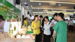 Phát triển kinh tế tuần hoàn cho cây dừa