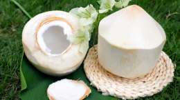 Trung Quốc đề nghị tăng cường kiểm soát doanh nghiệp chế biến dừa đông lạnh
