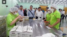 Xuất nhập khẩu tỉnh tăng trưởng khả quan