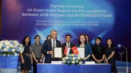 UOB Việt Nam hợp tác BETRIMEX thúc đẩy sản xuất dừa bền vững
