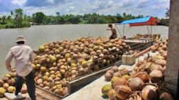 Tìm kiếm đối tác, đẩy mạnh xuất khẩu sản phẩm dừa Việt Nam sang Philippines