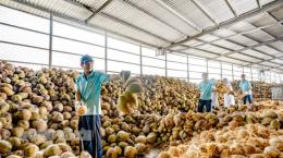 Xu hướng phát triển kinh tế tuần hoàn