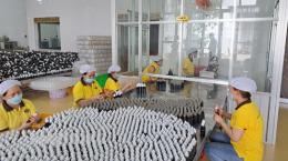 Tập trung sản xuất, kinh doanh, tạo đà tăng trưởng năm 2023