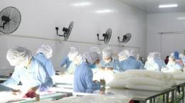 Công nhân nhà máy Vinacoco đang kiểm tra sản phẩm thạch dừa để đóng gói xuất khẩu.
