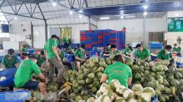 Xây dựng chuỗi giá trị nông sản và vùng sản xuất tập trung