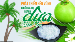 Phát triển bền vững chuỗi giá trị ngành dừa Bến Tre