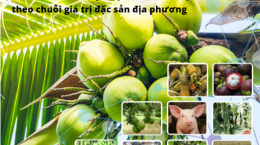 Thông tin doanh nghiệp về đề tài nghiên cứu khoa học và công nghệ cấp tỉnh
