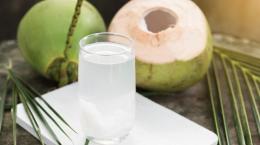 Từng bước đưa sản phẩm từ cây dừa, dừa Việt Nam xuất khẩu sang Úc