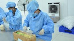 Các địa phương đẩy mạnh ứng dụng KH&CN phát triển kinh tế