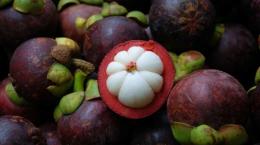 Kỹ thuật trồng xen cây măng cụt trong vườn dừa