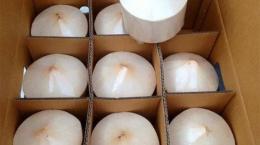 Xuất khẩu dừa tươi sang thị trường Hoa Kỳ doanh nghiệp lưu ý gì?