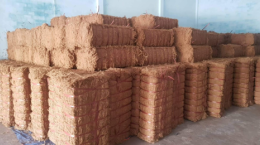 ICC:Tổng quan thị trường chỉ xơ dừa