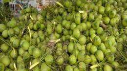 Không chủ quan khi mở cửa được nhiều thị trường