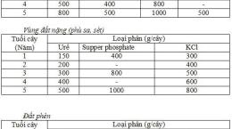Biện pháp nâng cao năng suất vườn dừa 
