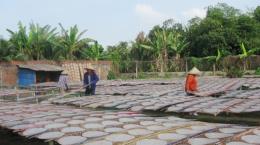 Bánh tráng Mỹ Lồng, bánh phồng Sơn Đốc rộn ràng mùa Tết