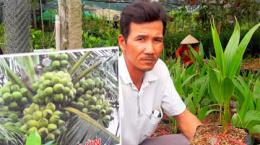 Cây giống “lên ngôi”