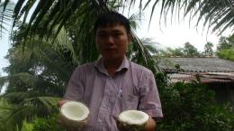Dừa sáp vượt lãnh địa Cầu Kè