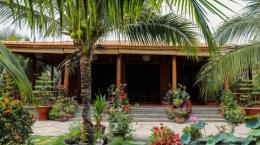 Homestay làm từ 4.000 cây dừa