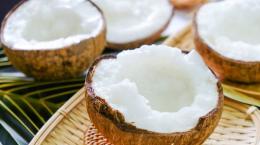 Kiếm tiền tỉ nhờ trồng dừa sáp cấy phôi