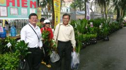 Khai thác tốt hơn tiềm năng, thế mạnh cây dừa