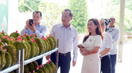 Bến Tre: Nâng cao giá trị và năng lực cạnh tranh nông sản