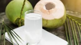 Tiêu chuẩn Dừa tươi thâm nhập thị trường Châu Âu